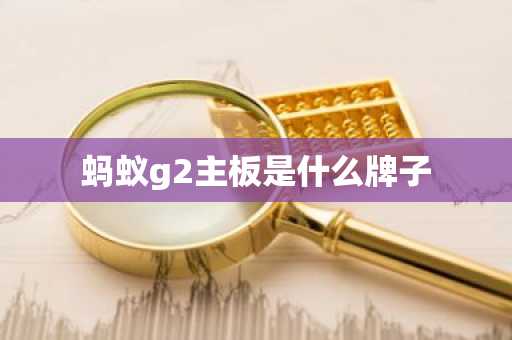 蚂蚁g2主板是什么牌子