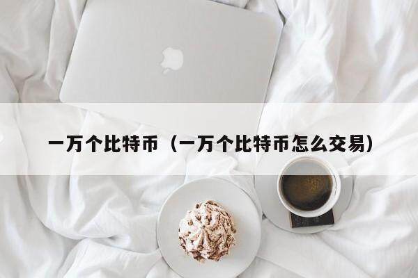 一万个比特币（一万个比特币怎么交易）
