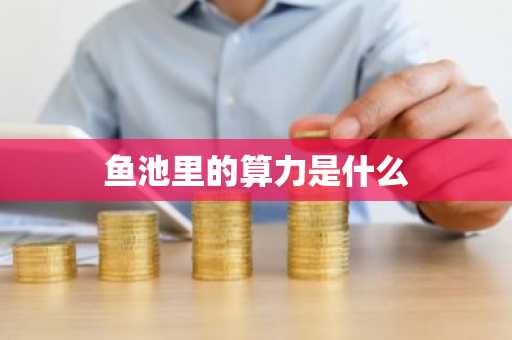 鱼池里的算力是什么
