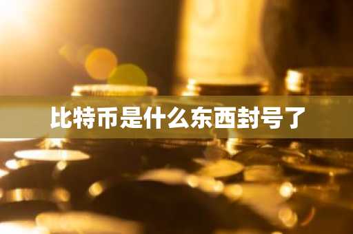 比特币是什么东西封号了