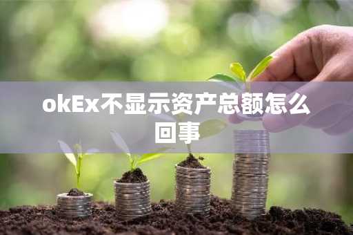 okEx不显示资产总额怎么回事