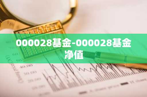 000028基金-000028基金净值