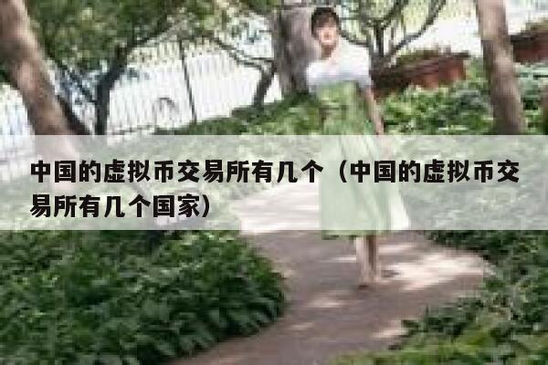 中国的虚拟币交易平台有几个（中国的虚拟币交易平台有几个国家）