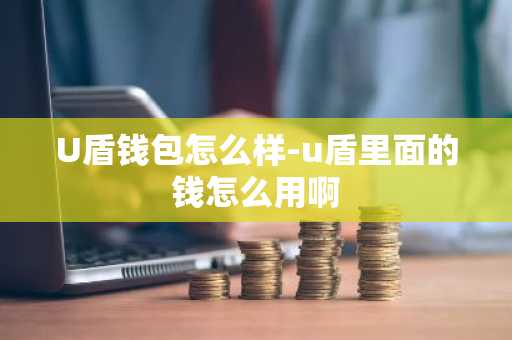 U盾钱包怎么样-u盾里面的钱怎么用啊