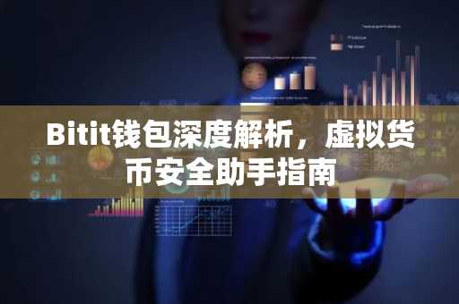 Bitit钱包深度解析，虚拟货币安全助手指南