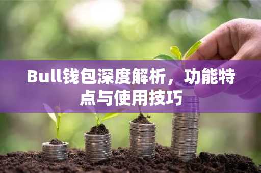 Bull钱包深度解析，功能特点与使用技巧