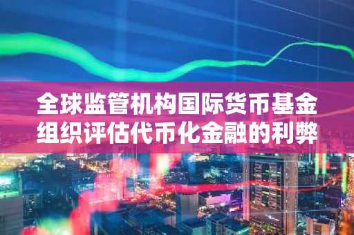 全球监管机构国际货币基金组织评估代币化金融的利弊