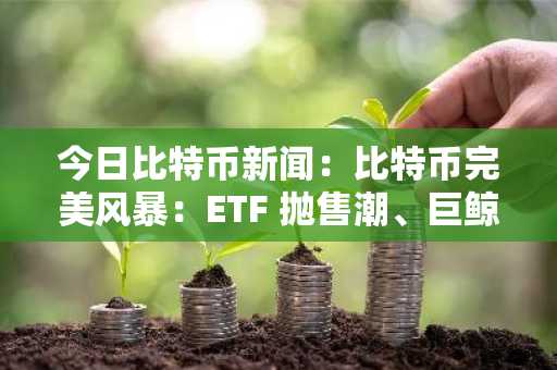 今日比特币新闻：比特币完美风暴：ETF 抛售潮、巨鲸抛售和看跌信号汇聚