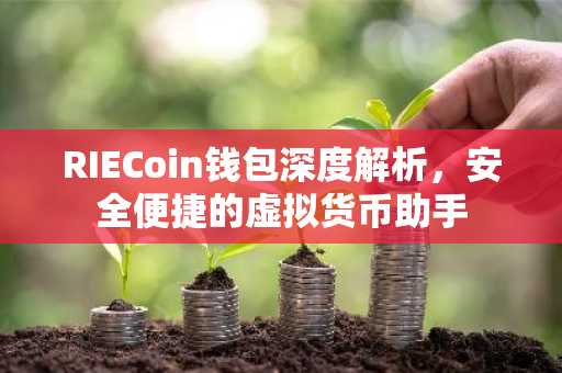 RIECoin钱包深度解析，安全便捷的虚拟货币助手