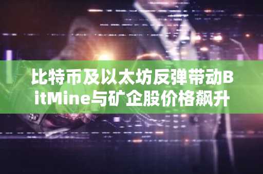 比特币及以太坊反弹带动BitMine与矿企股价格飙升