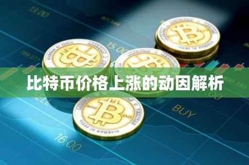 比特币价格上涨的动因解析