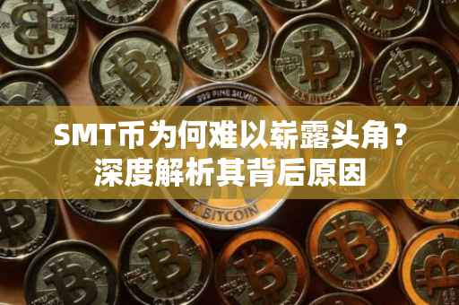 SMT币为何难以崭露头角？深度解析其背后原因