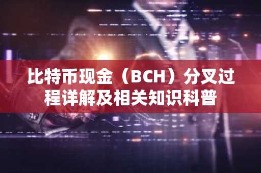 比特币现金（BCH）分叉过程详解及相关知识科普