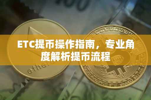 ETC提币操作指南，专业角度解析提币流程