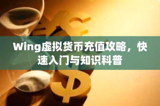 Wing虚拟货币充值攻略，快速入门与知识科普