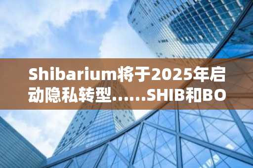 Shibarium将于2025年启动隐私转型……SHIB和BONE会成为黑马吗？