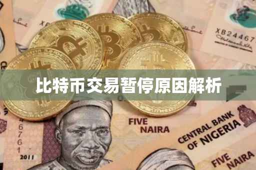 比特币交易暂停原因解析