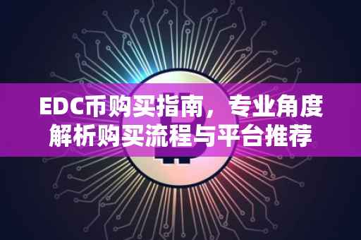 EDC币购买指南，专业角度解析购买流程与平台推荐