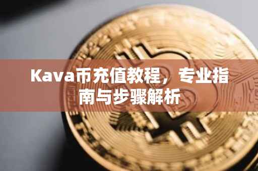 Kava币充值教程，专业指南与步骤解析