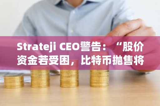Strateji CEO警告：“股价资金若受困，比特币抛售将不可避免……此乃最后手段”