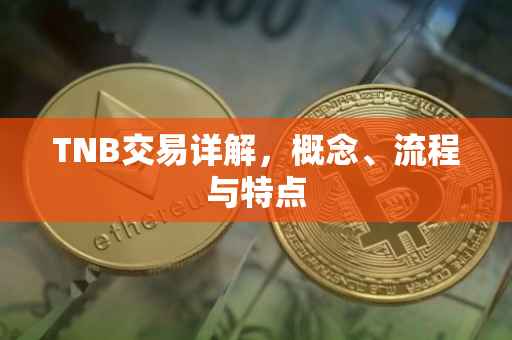 TNB交易详解，概念、流程与特点