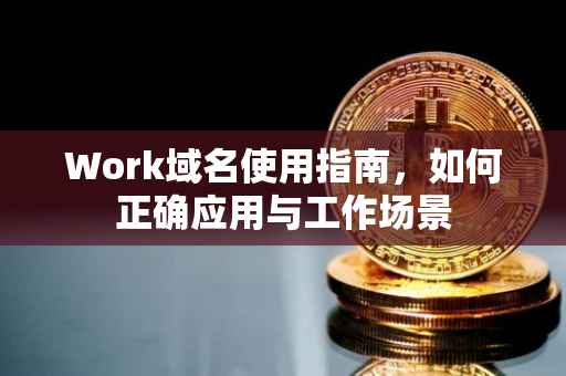 Work域名使用指南，如何正确应用与工作场景