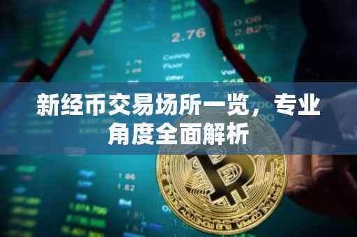 新经币交易场所一览，专业角度全面解析