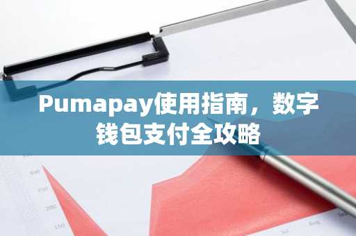 Pumapay使用指南，数字钱包支付全攻略