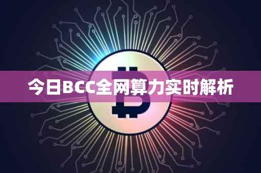 今日BCC全网算力实时解析