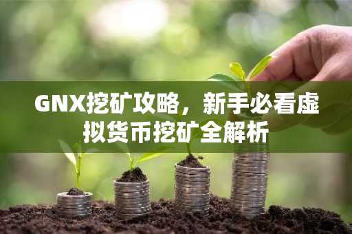GNX挖矿攻略，新手必看虚拟货币挖矿全解析