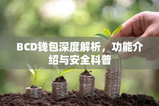 BCD钱包深度解析，功能介绍与安全科普