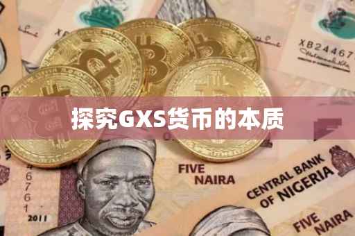 探究GXS货币的本质