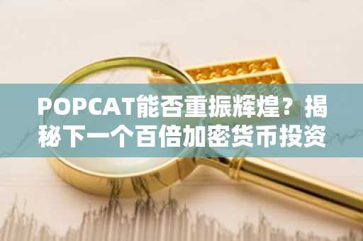 POPCAT能否重振辉煌？揭秘下一个百倍加密货币投资机会