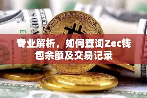 专业解析，如何查询Zec钱包余额及交易记录