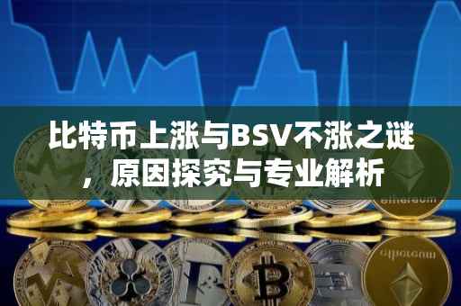 比特币上涨与BSV不涨之谜，原因探究与专业解析