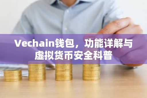 Vechain钱包，功能详解与虚拟货币安全科普