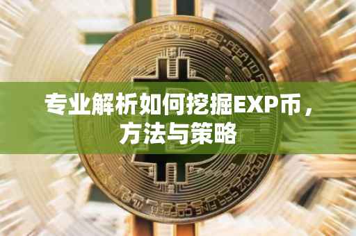 专业解析如何挖掘EXP币，方法与策略