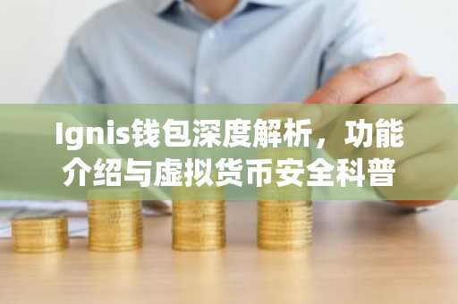 Ignis钱包深度解析，功能介绍与虚拟货币安全科普