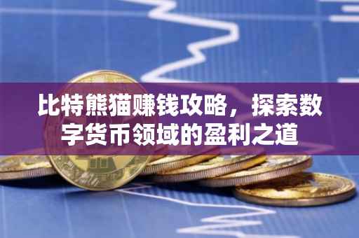 比特熊猫赚钱攻略，探索数字货币领域的盈利之道