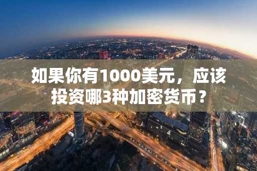 如果你有1000美元，应该投资哪3种加密货币？