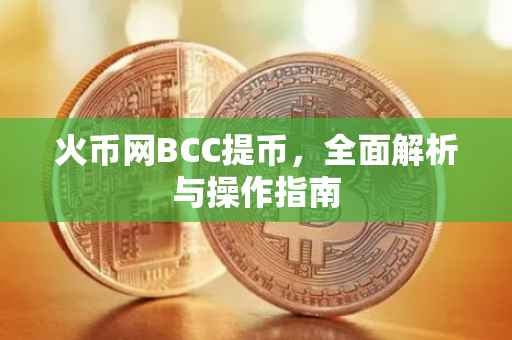 火币网BCC提币，全面解析与操作指南