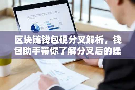 区块链钱包硬分叉解析，钱包助手带你了解分叉后的操作