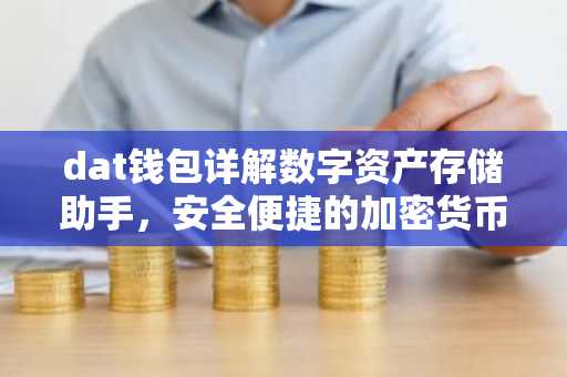 dat钱包详解数字资产存储助手，安全便捷的加密货币管理之道