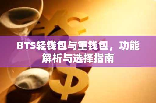 BTS轻钱包与重钱包，功能解析与选择指南