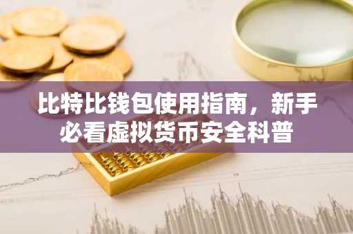 比特比钱包使用指南，新手必看虚拟货币安全科普