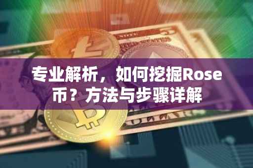 专业解析，如何挖掘Rose币？方法与步骤详解
