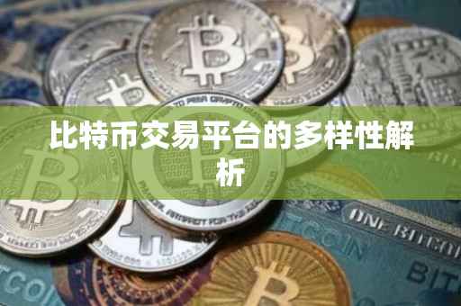 比特币交易平台的多样性解析