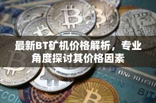 最新BT矿机价格解析，专业角度探讨其价格因素