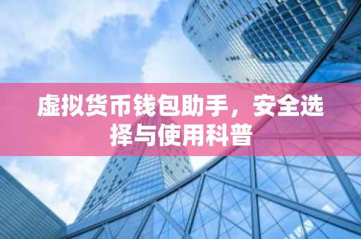 虚拟货币钱包助手，安全选择与使用科普