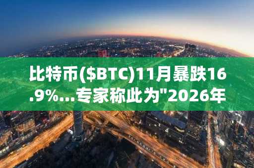 比特币($BTC)11月暴跌16.9%...专家称此为"2026年反弹前的市场净化"